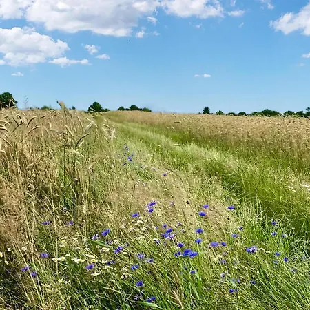 Beautiful In * Jarosławiec